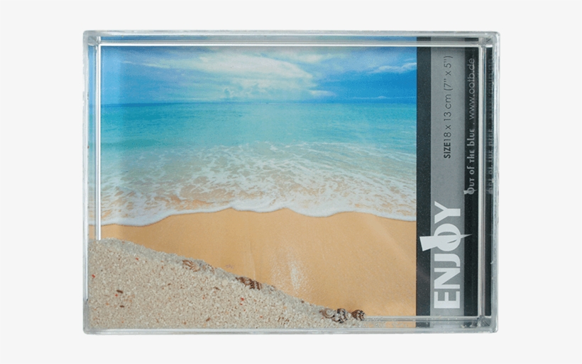Novelty Retro Design - 3d-acrylic Sand & Shells, transparent png