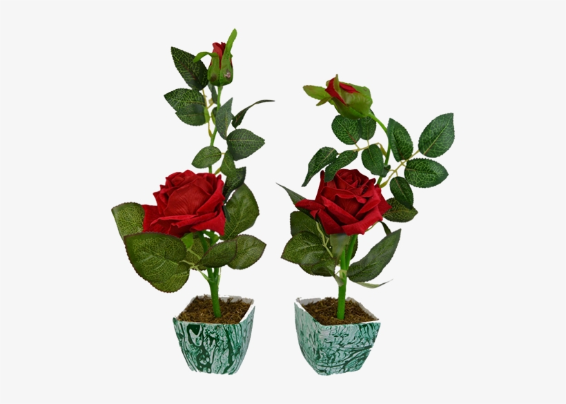 Image Thefancymart Set Of 2 Piece Artifical Rose Plants - Rose, transparent png
