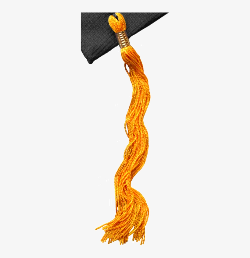 Herzing University Graduation Cap - Herzing University Online, transparent png