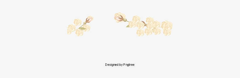 White Flowers, Creative White Flowers, Painted White - Painting, transparent png