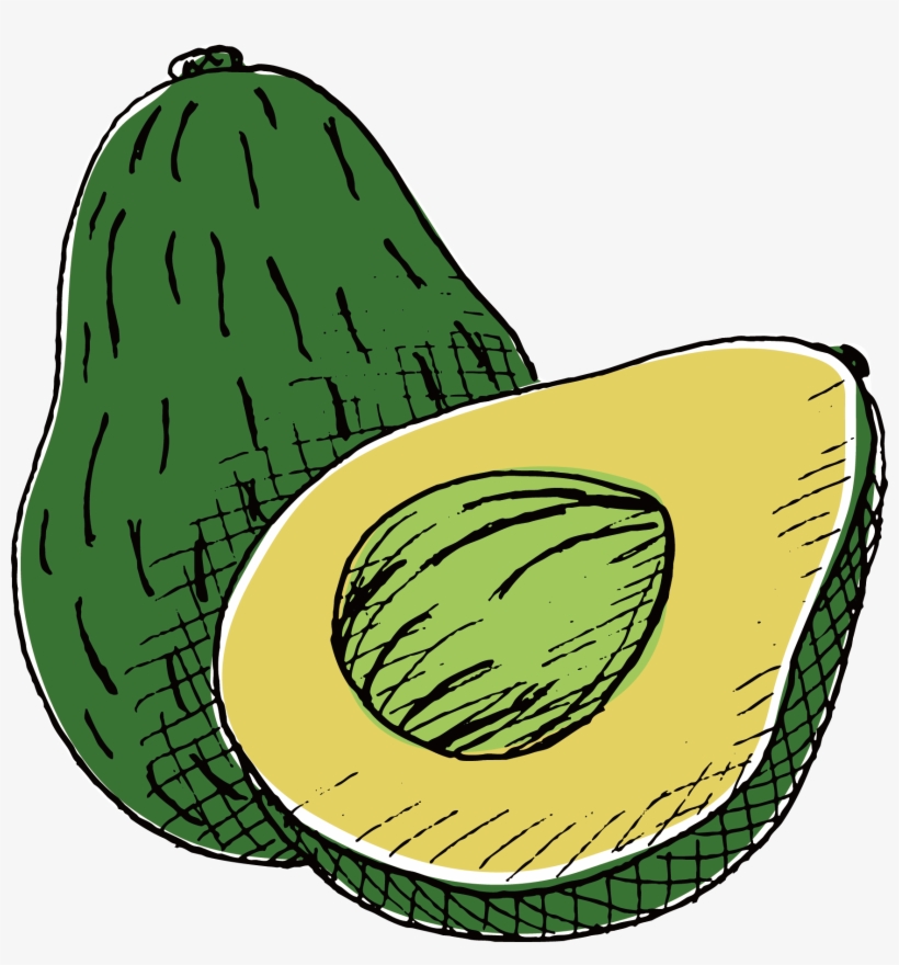 Watercolor Painting Printmaking Drawing Avocado - Avocado Drawing Png, transparent png