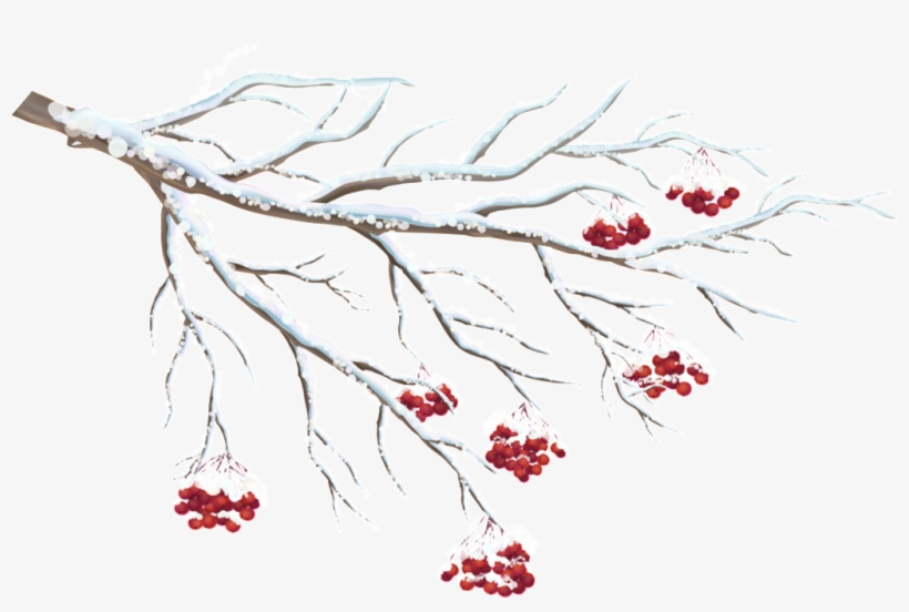 Dry Winter Branches Transparent - Wintry Cardinals Small Boxed Holiday Cards [book], transparent png