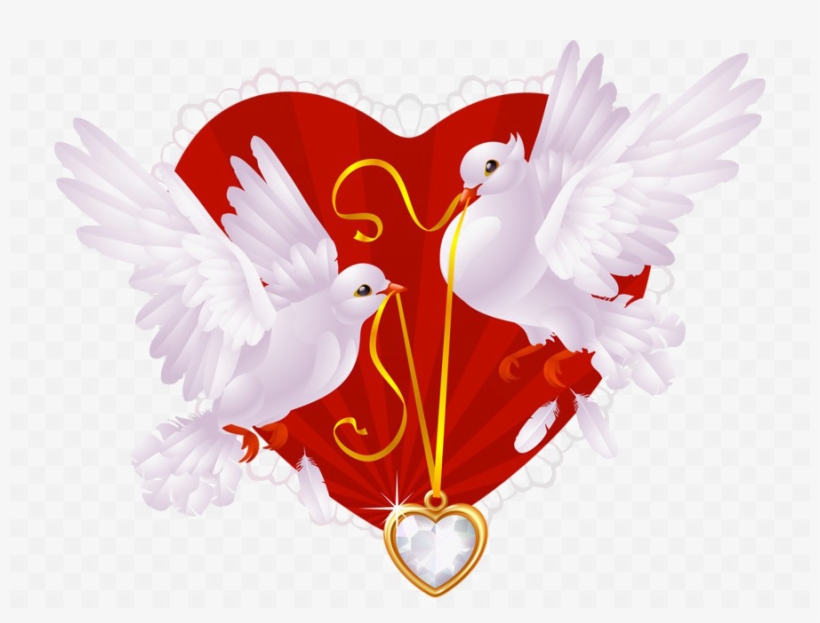 Love Birds Transparent Images - Two White Pigeons Love, transparent png