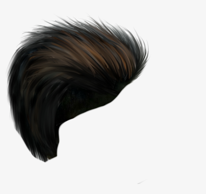 Hair Png - Lace Wig, transparent png