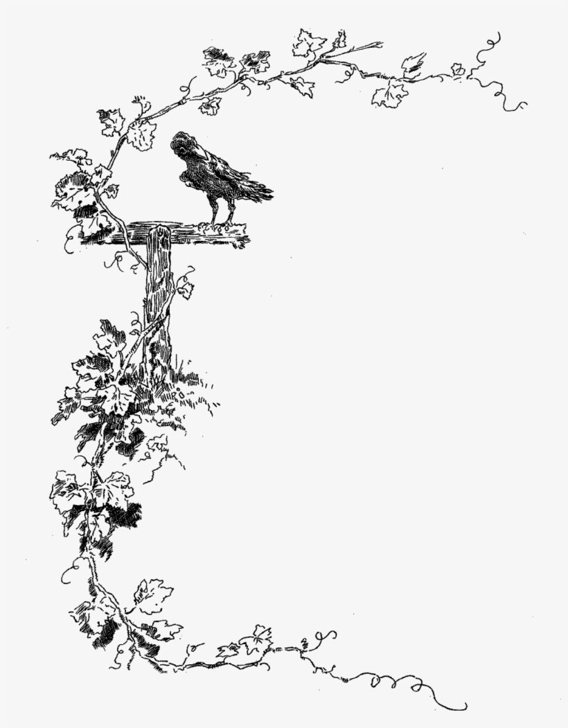 Border Stock Image Botanical - Transparent Bird Border, transparent png