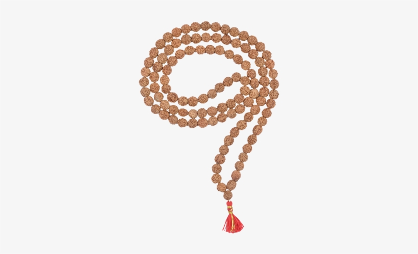 2 mukhi rudraksha mala 500x500 png download pngkit 2 mukhi rudraksha mala 500x500 png