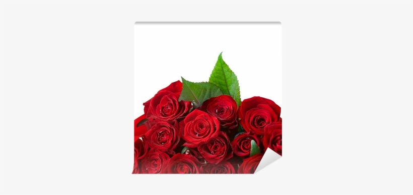 Rode Rozen Boeket, transparent png