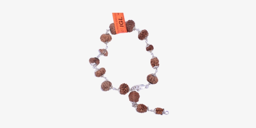 Multi Combination Multiple Purpose Rudraksha Bracelet - Bead, transparent png