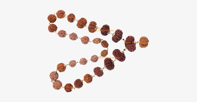 Siddha Mala Large - Japamala, transparent png
