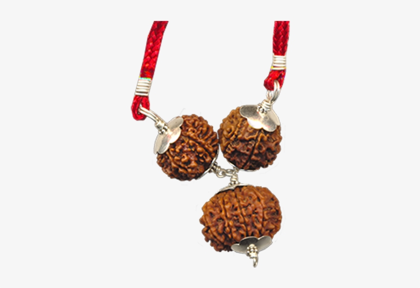 Career Growth Rudraksha - Necklace, transparent png