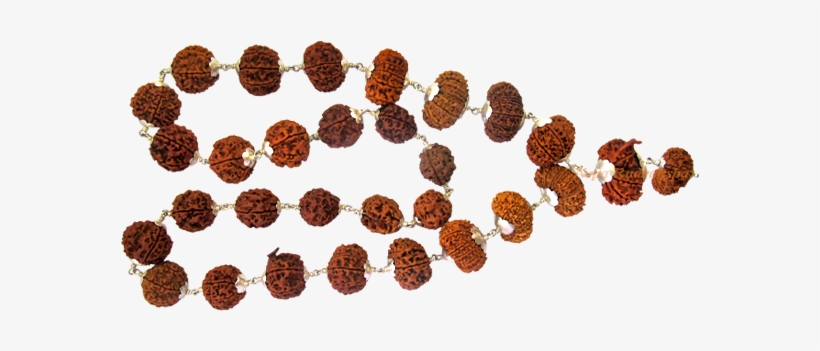 Chocolate Truffle, transparent png