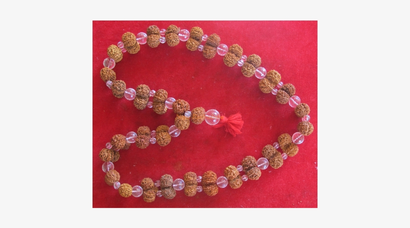 Kanthas Rudraksha Collection - Kantha, transparent png