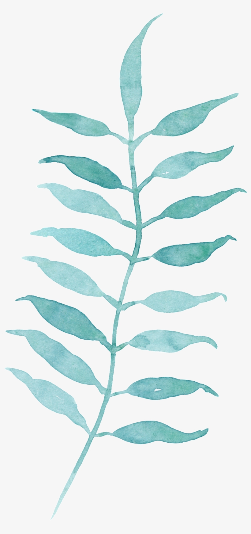 Corresponding Growing Leaves Cartoon Transparent - Watercolor Painting, transparent png