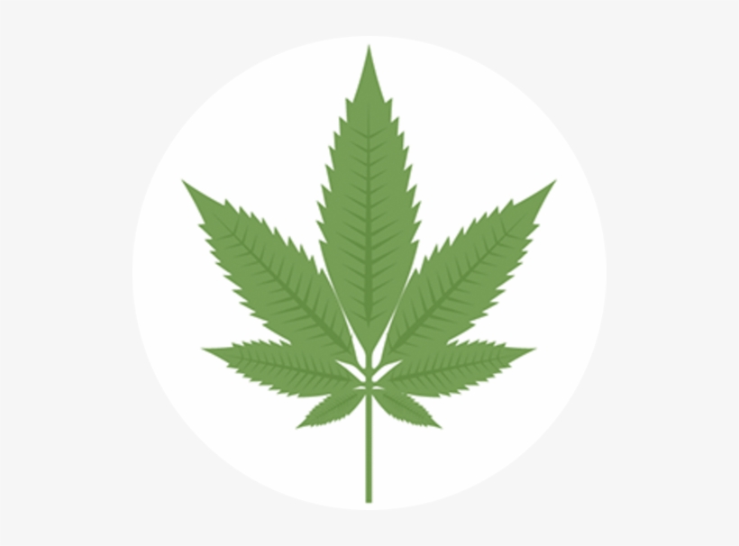 Indica - Marijuana Leaf, transparent png