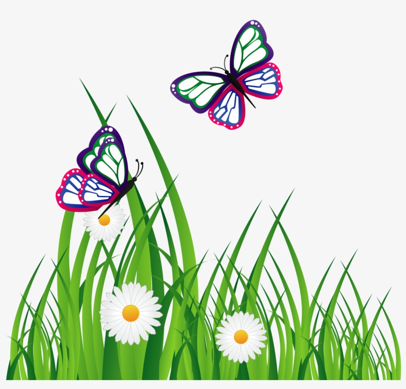 Adobe Illustrator Graphic Design Download - Vector Graphics, transparent png