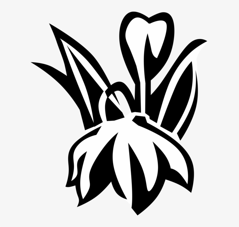 Vector Illustration Of Blue Eyed Grass Satin Flower - Emblem, transparent png