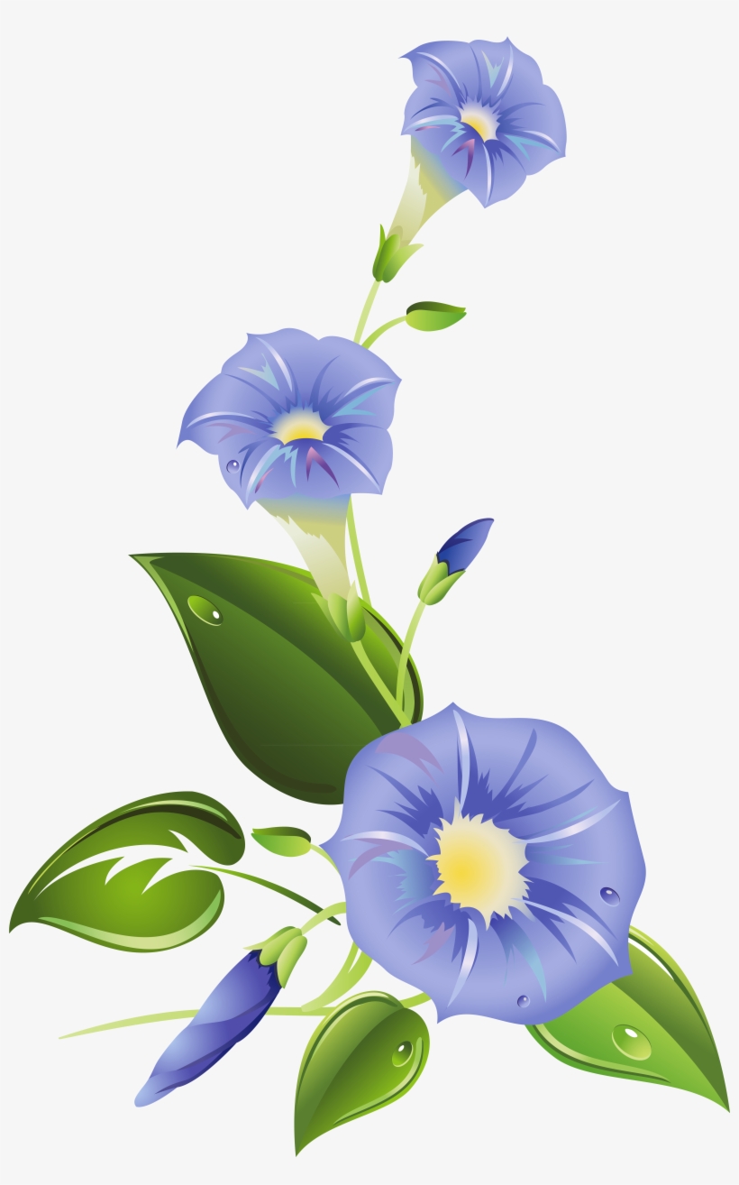 Ipomoea Purpurea Morning Glory Ipomoea Indica Ipomoea - Morning Glory Flower Clipart, transparent png