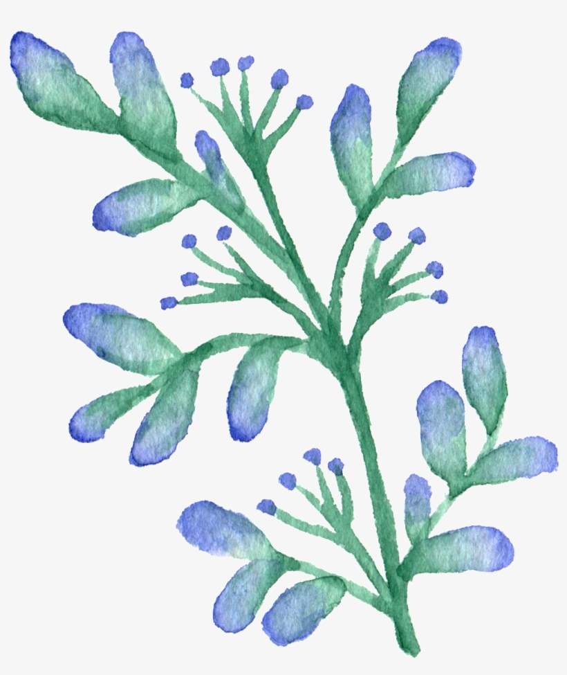 Hand Painted Gradient A Flower Watercolor Transparent - Watercolor Painting, transparent png