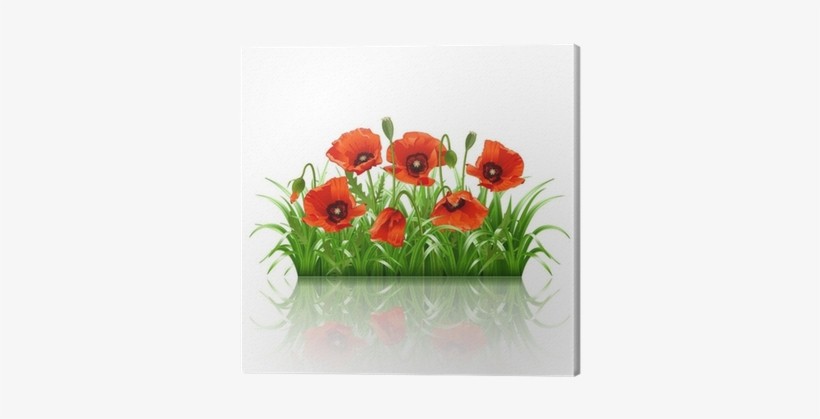 Наклейка Декоративная Decoretto Долина Маков, transparent png