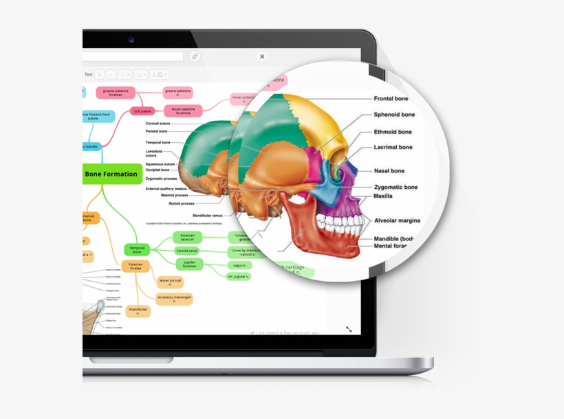 Mind Mapping Tool - Mind Mapping, transparent png