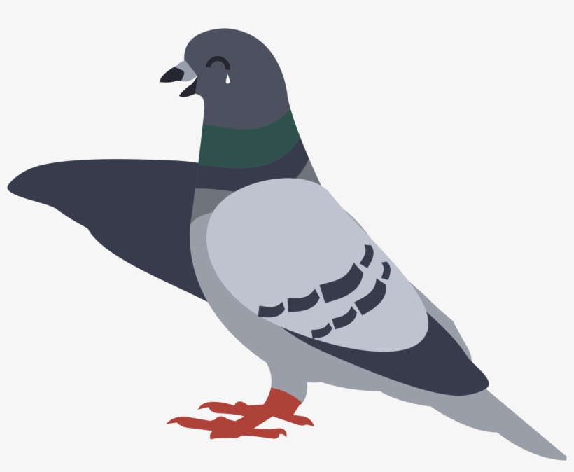 Clipart Free Fails Premier Control - Rock Dove, transparent png