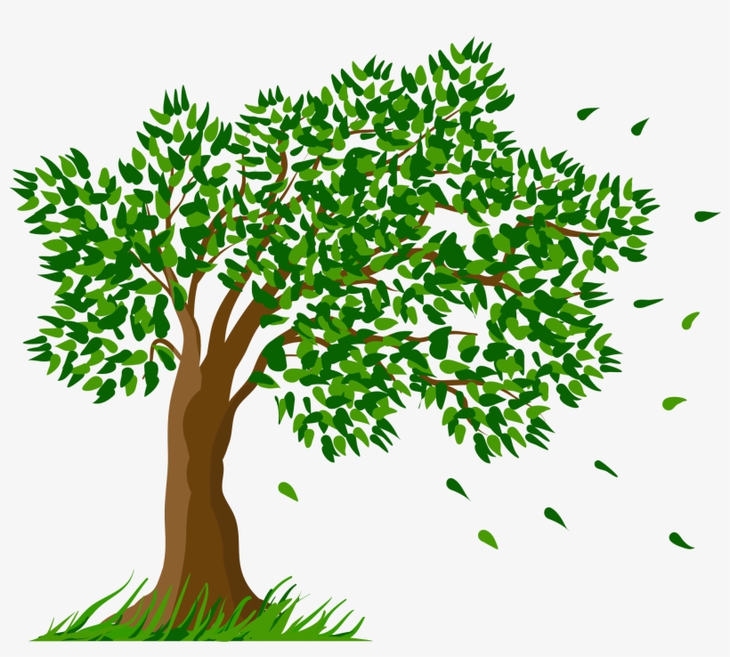 Tree Transparent Clipart Picture - Transparent Background Tree Clipart, transparent png