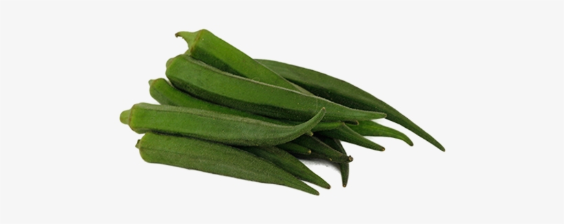 Okra, transparent png