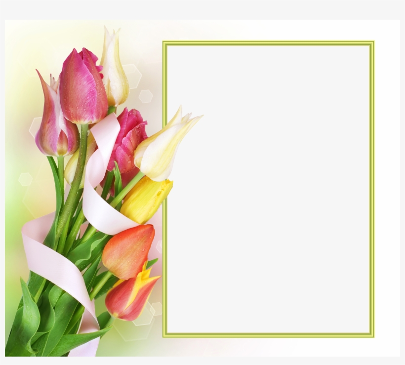 Flowers Tulip Frame Png, transparent png