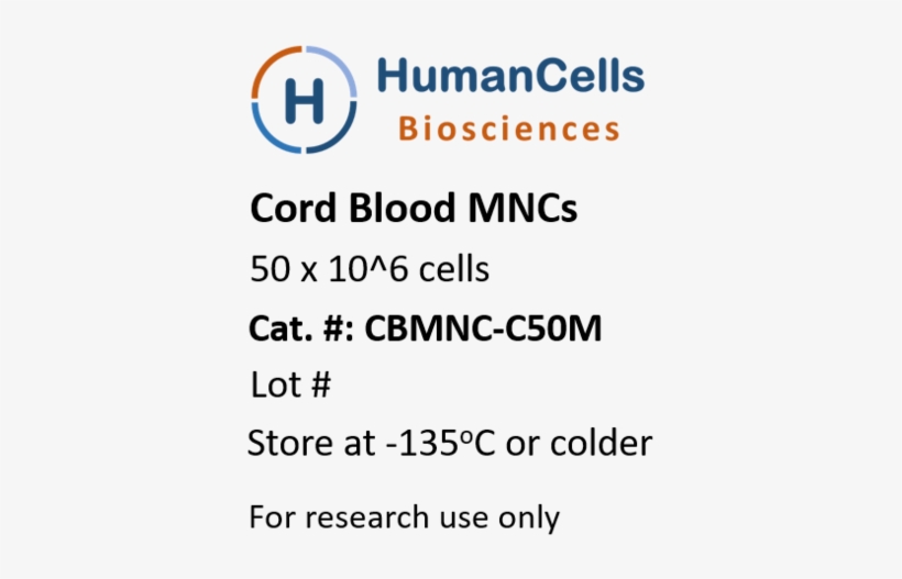 Human Cord Blood Monoculcear Cells, Cb Mncs - Peripheral Blood Cell, transparent png