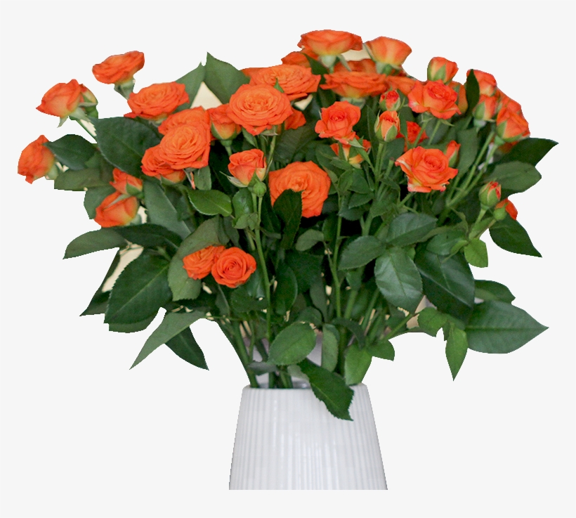 Wholesale Fresh Cut Rose Flowers For Wedding - Bouquet, transparent png