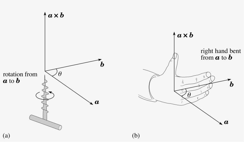 Apron Vector Outline - Diagram, transparent png