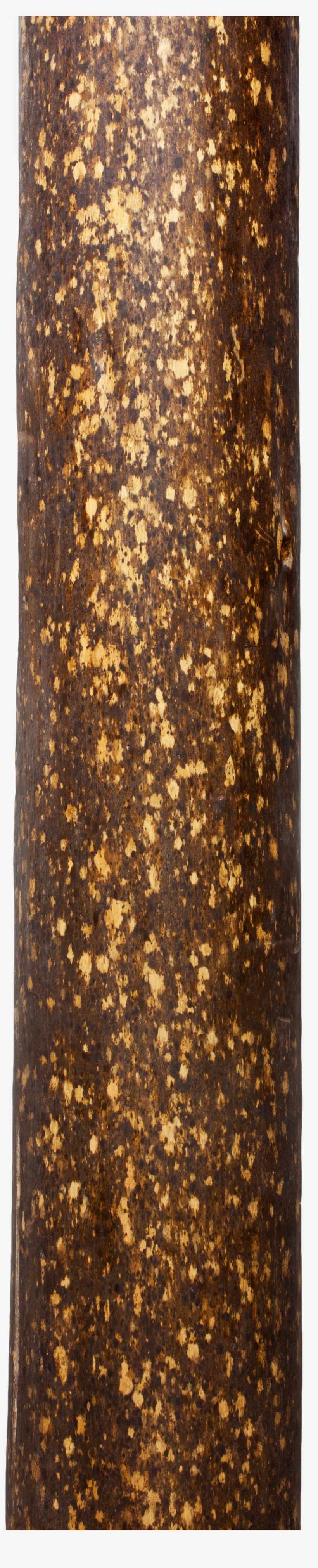 Kitayama Hinoki Sabi Maruta - Tree Wood Png Hd, transparent png
