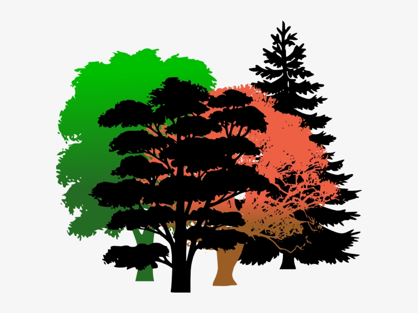 How To Set Use Wood Clipart, transparent png