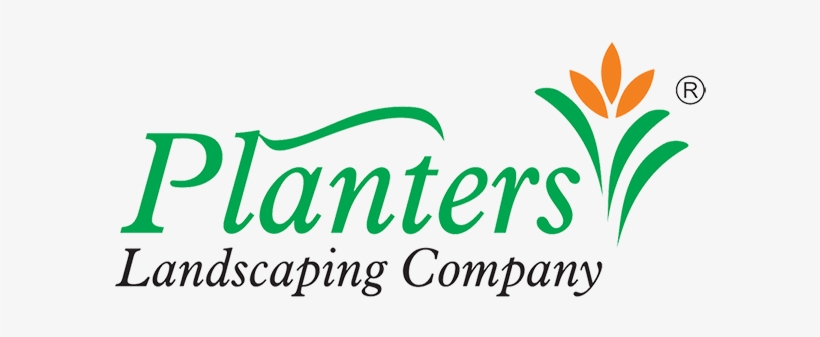 0 Replies 0 Retweets 0 Likes - Malcolm Williamson: Complete Works For Piano, transparent png