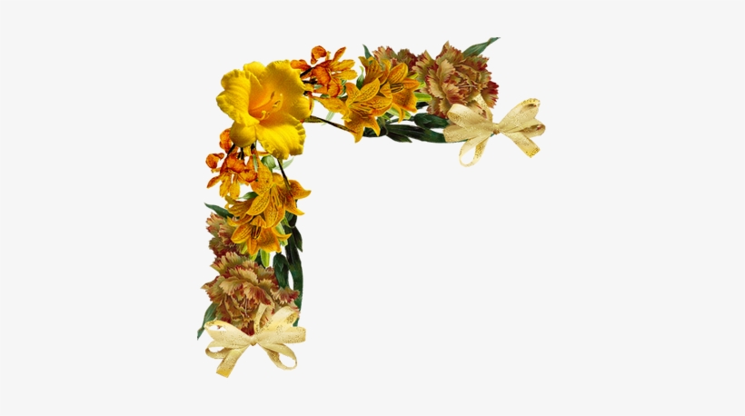 Flores Encontradas En La Web - Flower Frame Orange, transparent png