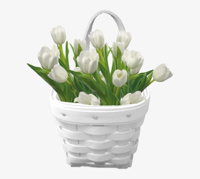 Florist In Gisborne Nz - Bouquet White Tulips Png, transparent png