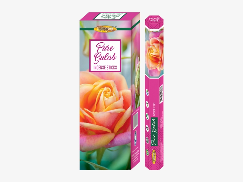 Product Information - Garden Roses, transparent png