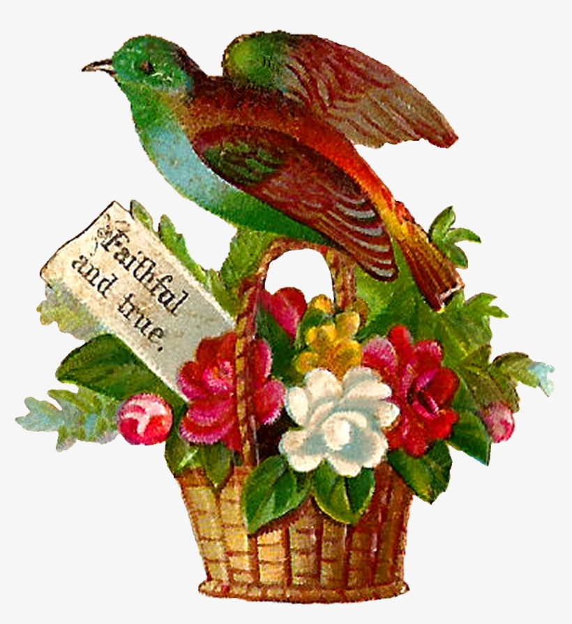 Each Little Bird Perched On The Flower Baskets Are - Illustration, transparent png