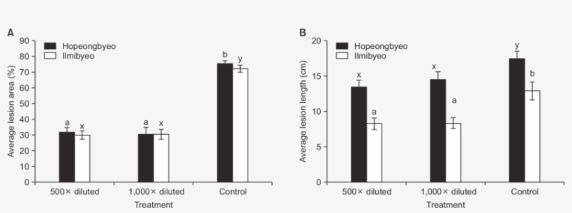 Effect Of A Riboflavin-based Formulator Biodoctor Application - Diagram, transparent png