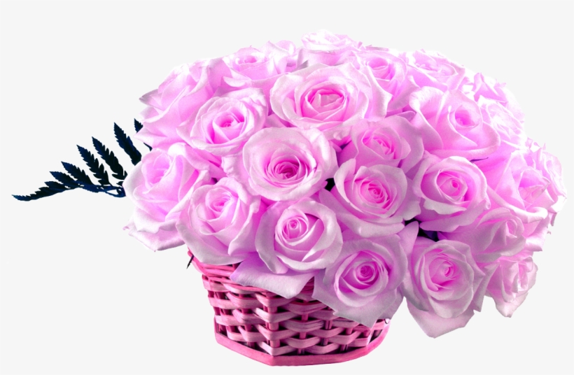 50 Pink Roses Basket - Wednesday Good Morning Wishes, transparent png