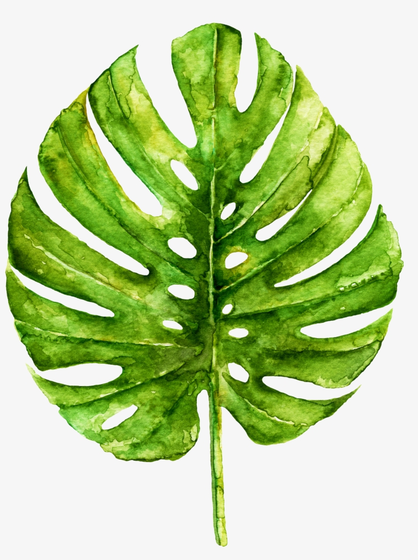 Non-spoiler Book Review - Footalk Round Roundie Indian Mandala Beach Towels Blanket, transparent png