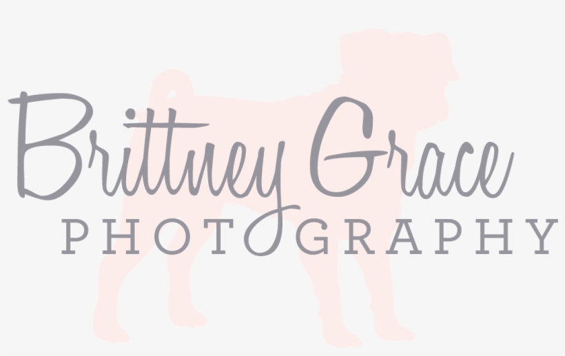 Brittney Grace Photography - Pug Necklace, Dog Necklace, Dog Pendant, Animal Necklace,, transparent png