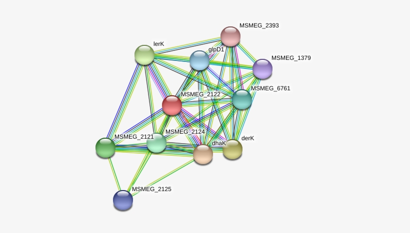 Network - Circle, transparent png
