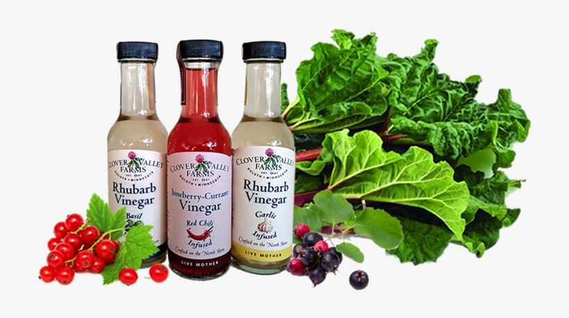 Index Illustration - Rhubarb Vegetables, transparent png