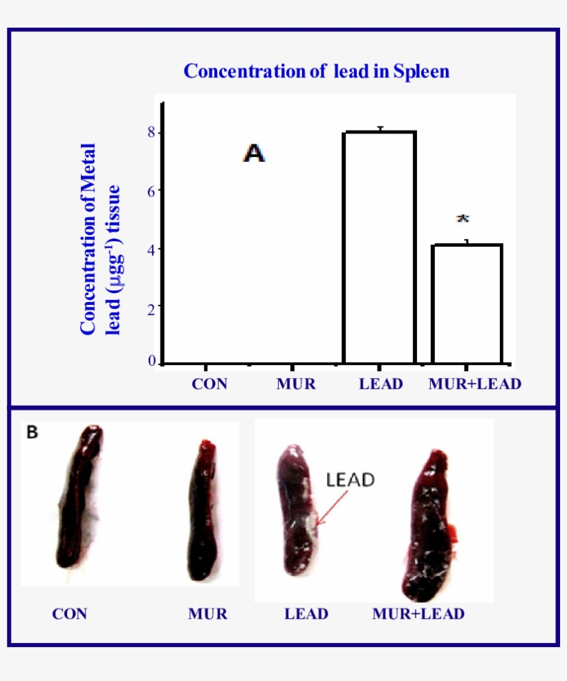 Effect Of Aqueous Extract Of Curry Leaves Against Accumulation - Spectrophotometry, transparent png