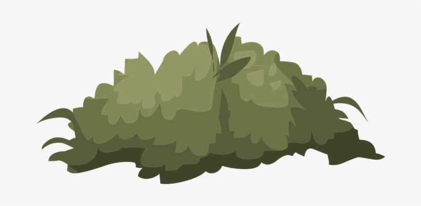 Bush, Nature, Green, Leaves, Outdoor - Bush Illustration, transparent png
