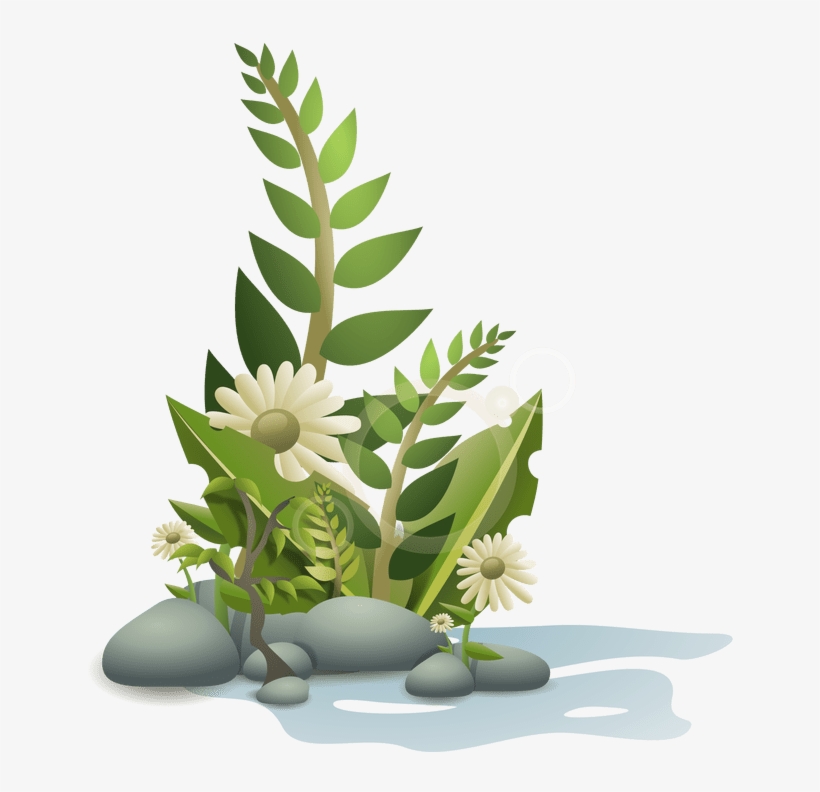 Aquarium Plants Clipart - Plants Clipart, transparent png