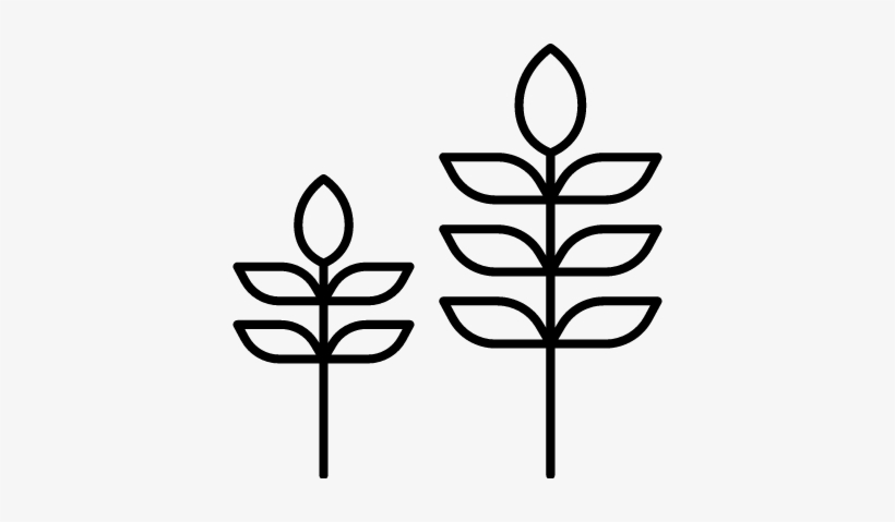 Two Plants Vector - Ecology, transparent png