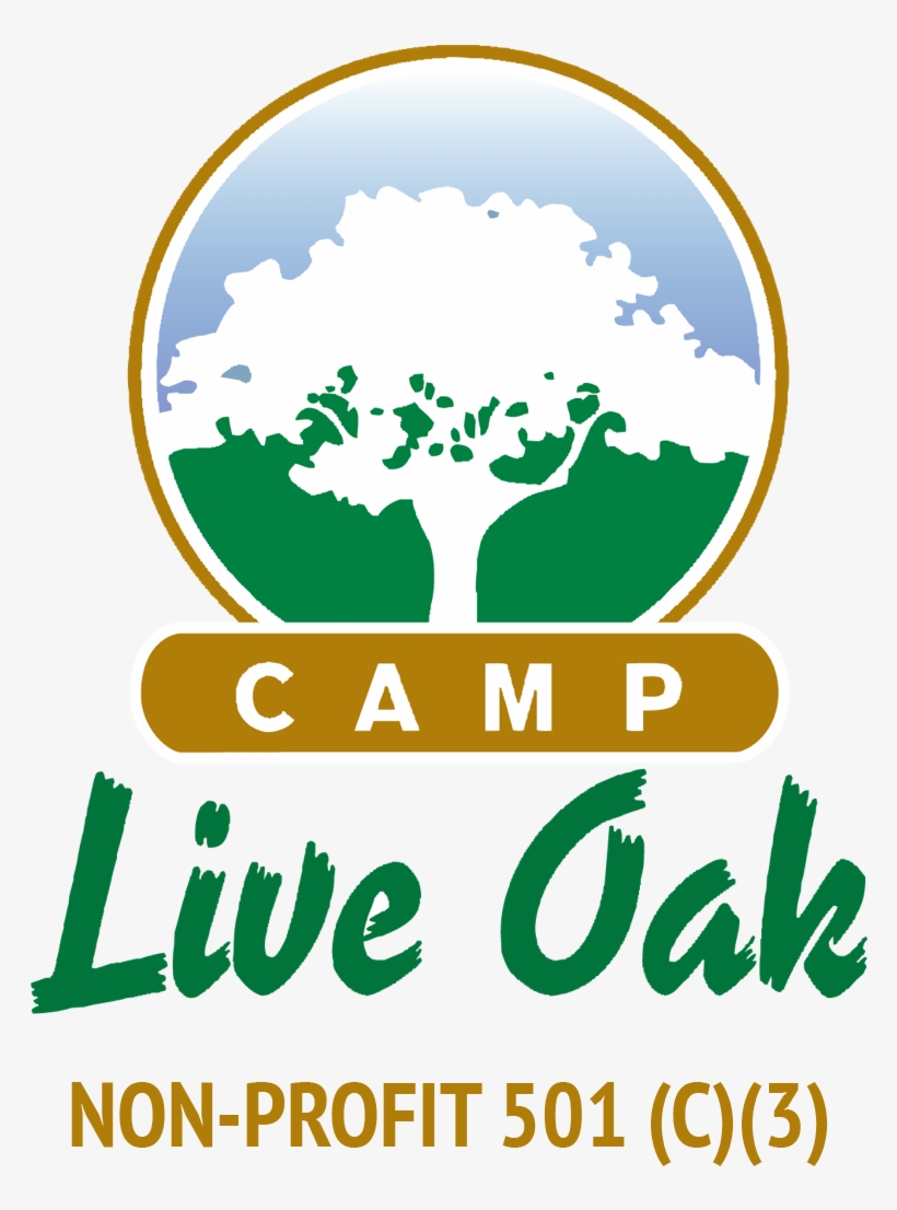 Amazing Outdoor Summer Camp Located In Fort Lauderdale - Camp Live Oak, transparent png