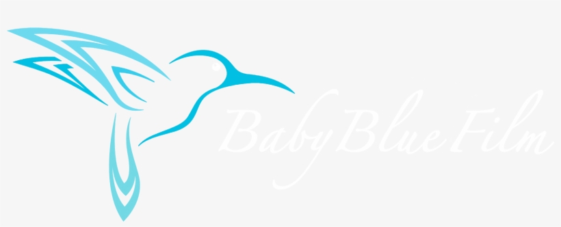 Baby Blue Film - Colibri Bird Vector, transparent png